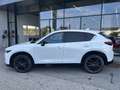 Mazda CX-5 Skysctive D Homura AWD Aut. Weiß - thumbnail 2