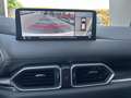 Mazda CX-5 Skysctive D Homura AWD Aut. Weiß - thumbnail 15