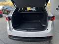 Mazda CX-5 Skysctive D Homura AWD Aut. Weiß - thumbnail 17