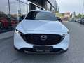 Mazda CX-5 Skysctive D Homura AWD Aut. Weiß - thumbnail 7