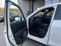 Mazda CX-5 Skysctive D Homura AWD Aut. Weiß - thumbnail 8