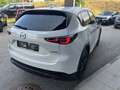 Mazda CX-5 Skysctive D Homura AWD Aut. Weiß - thumbnail 5