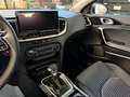 Kia Ceed / cee'd 1.5 T-GDI (48V Mild-Hybrid) DCT7 Ultimate Edition - thumbnail 8