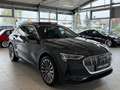 Audi e-tron 50 quattro 71kWh S-Line Business*AHK*Spur*Panor... Grau - thumbnail 4