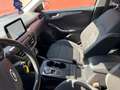Ford Focus SW 1.5 ecoblue Business 120cv auto Grigio - thumbnail 6
