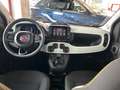 Fiat Panda Pandina Cross 1.0 firefly hybrid s Verde - thumbnail 11