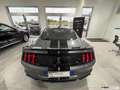 Ford Mustang GT500 SHELBY V8 5.2L 771CV FASTBACK Grigio - thumbnail 8