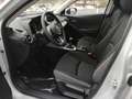 Mazda 2 23er EXCLUSIVE LogIn Matrix Sitzheizg 360° Klimaau White - thumbnail 6