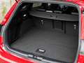 Ford Focus Wagon ST Line X 1.0 EcoBoost Hybrid 155pk Automaat Rood - thumbnail 17