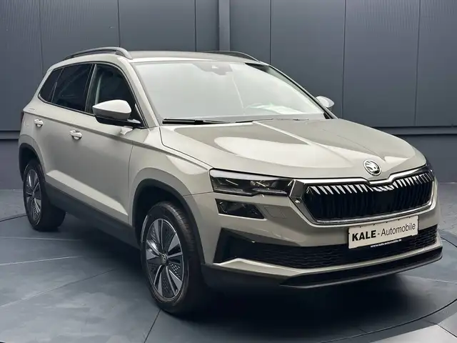 Skoda Karoq view 7