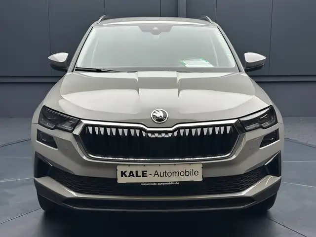 Skoda Karoq view 8