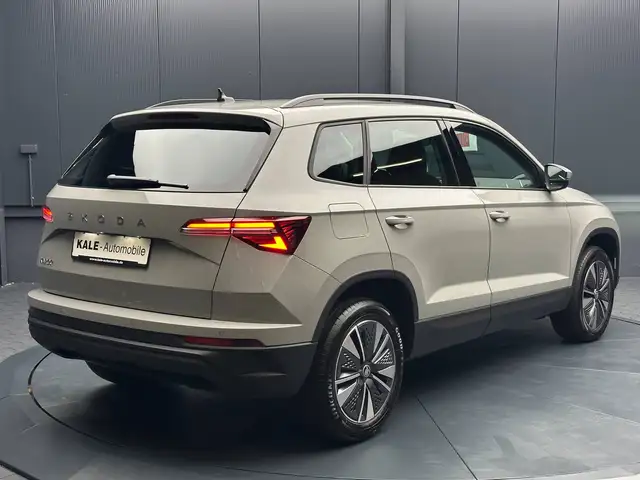 Skoda Karoq view 5