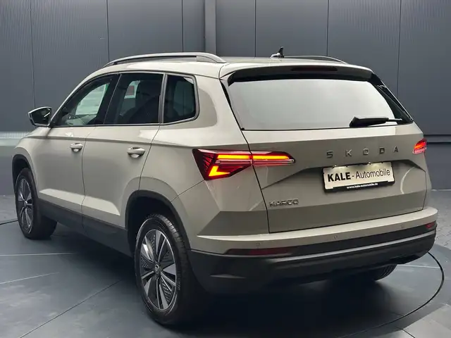 Skoda Karoq view 3