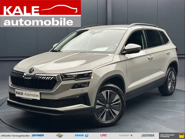 Skoda Karoq main image