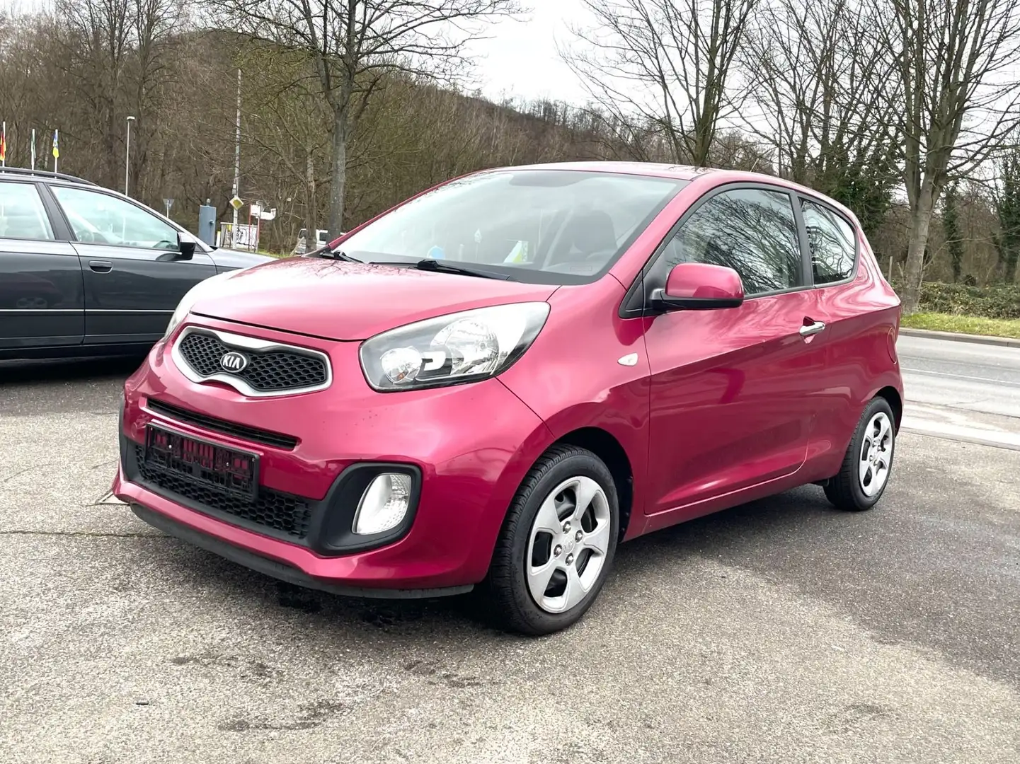 Kia Picanto CHERRY PINK * KLIMA * INSPEKTION + TÜV NEU Violett - 1