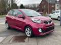 Kia Picanto CHERRY PINK * KLIMA * INSPEKTION + TÜV NEU Violett - thumbnail 3