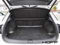Volkswagen T-Roc 2.0 TSI DSG R 4Motion Navi AHK Panorama Black-Styl Weiß - thumbnail 13