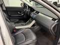 Land Rover Range Rover Evoque Range Rover Evoque 2.0 TD4 150 CV 5p. SE Blanc - thumbnail 8