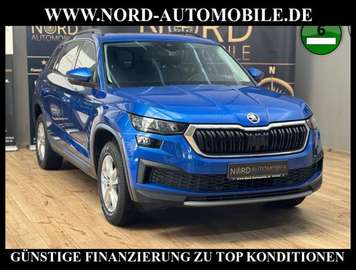 Ambition 2.0 TDI DSG 7-Sitzer/Pano/Virt.C Ambition