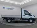 Ford Transit Pritsche 2,0 EcoBlue L2H1 350 Trend Weiß - thumbnail 4