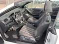 Volkswagen Golf VI Cabriolet GTI 2,0 155 kW Parkpilot Bianco - thumbnail 8