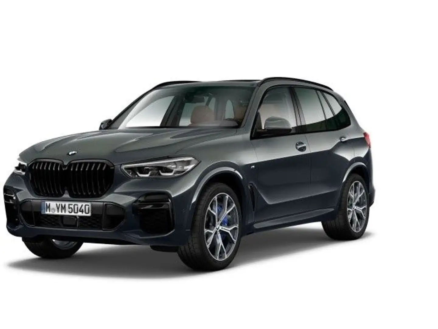 BMW X5 xDrive30d M Sport Pano Head Up Memory Grau - 1