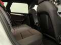 Audi A4 allroad A4 Allroad 2.0 tdi Business Plus 177cv s-tronic Alb - thumbnail 8