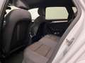 Audi A4 allroad A4 Allroad 2.0 tdi Business Plus 177cv s-tronic Alb - thumbnail 9
