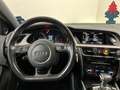 Audi A4 allroad A4 Allroad 2.0 tdi Business Plus 177cv s-tronic Alb - thumbnail 12