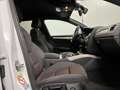 Audi A4 allroad A4 Allroad 2.0 tdi Business Plus 177cv s-tronic Alb - thumbnail 7