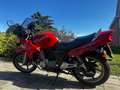 Honda CB 500 Rouge - thumbnail 4