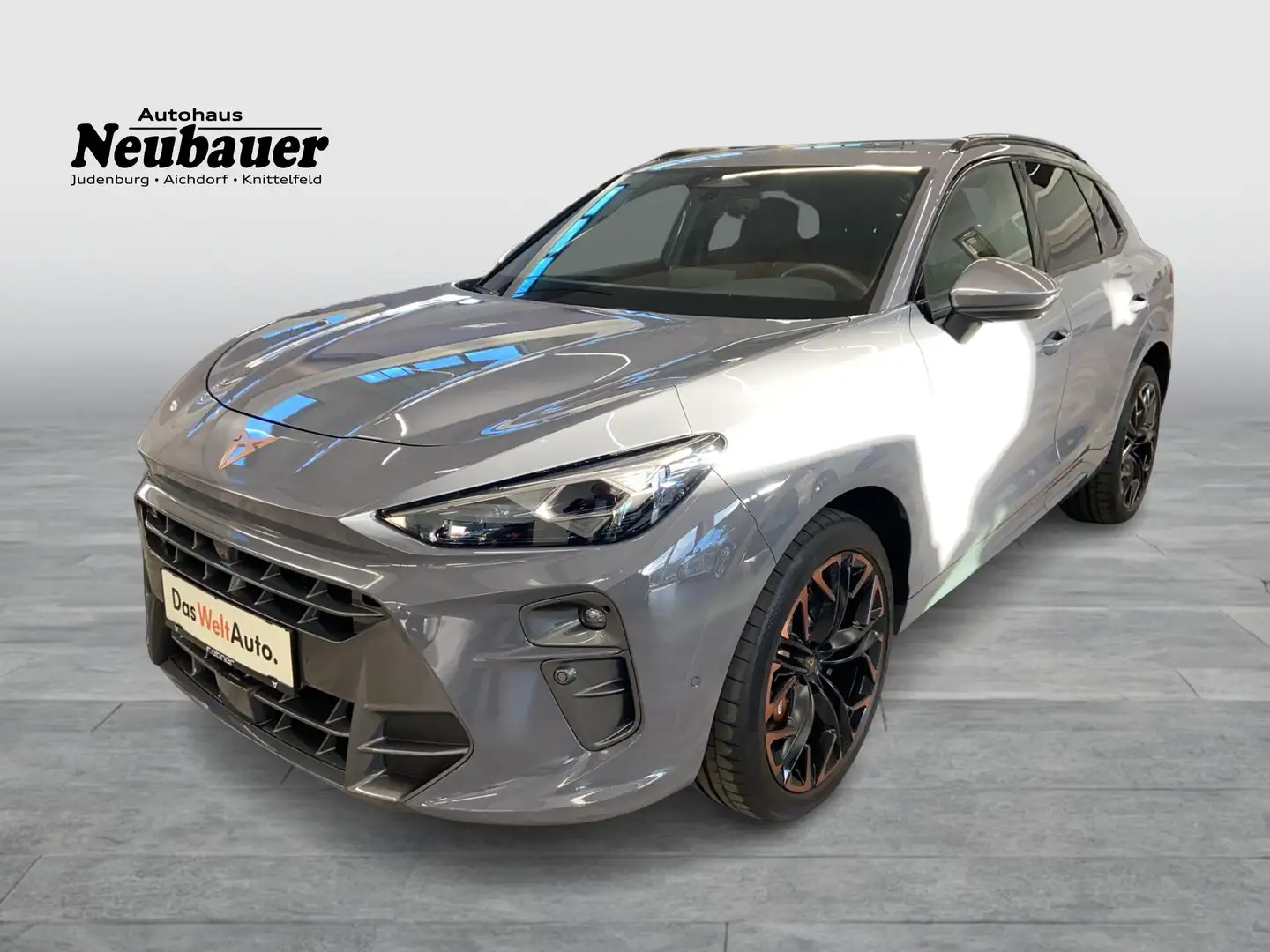 CUPRA Terramar VZ 2.0 TSI 265 PS DSG 4Drive Grau - 1