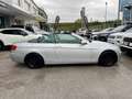 BMW 320 320d Cabrio Futura - thumbnail 9