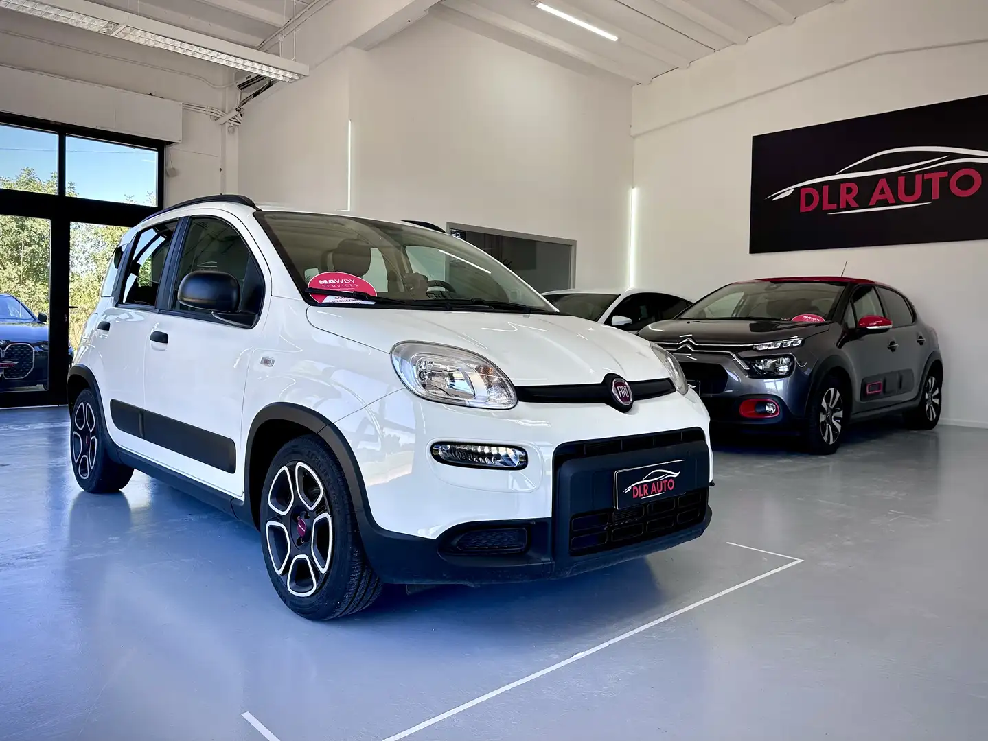 Fiat Panda 1.0 firefly hybrid City Life s&s 70cv 5p.ti - 1