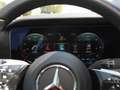 Mercedes-Benz CLS 300 d 4M Avantgarde Navi Burmester Kamera Gris - thumbnail 19