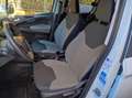 Ford Tourneo Courier Trend NAVI PDC Winterp ALU Blanc - thumbnail 8
