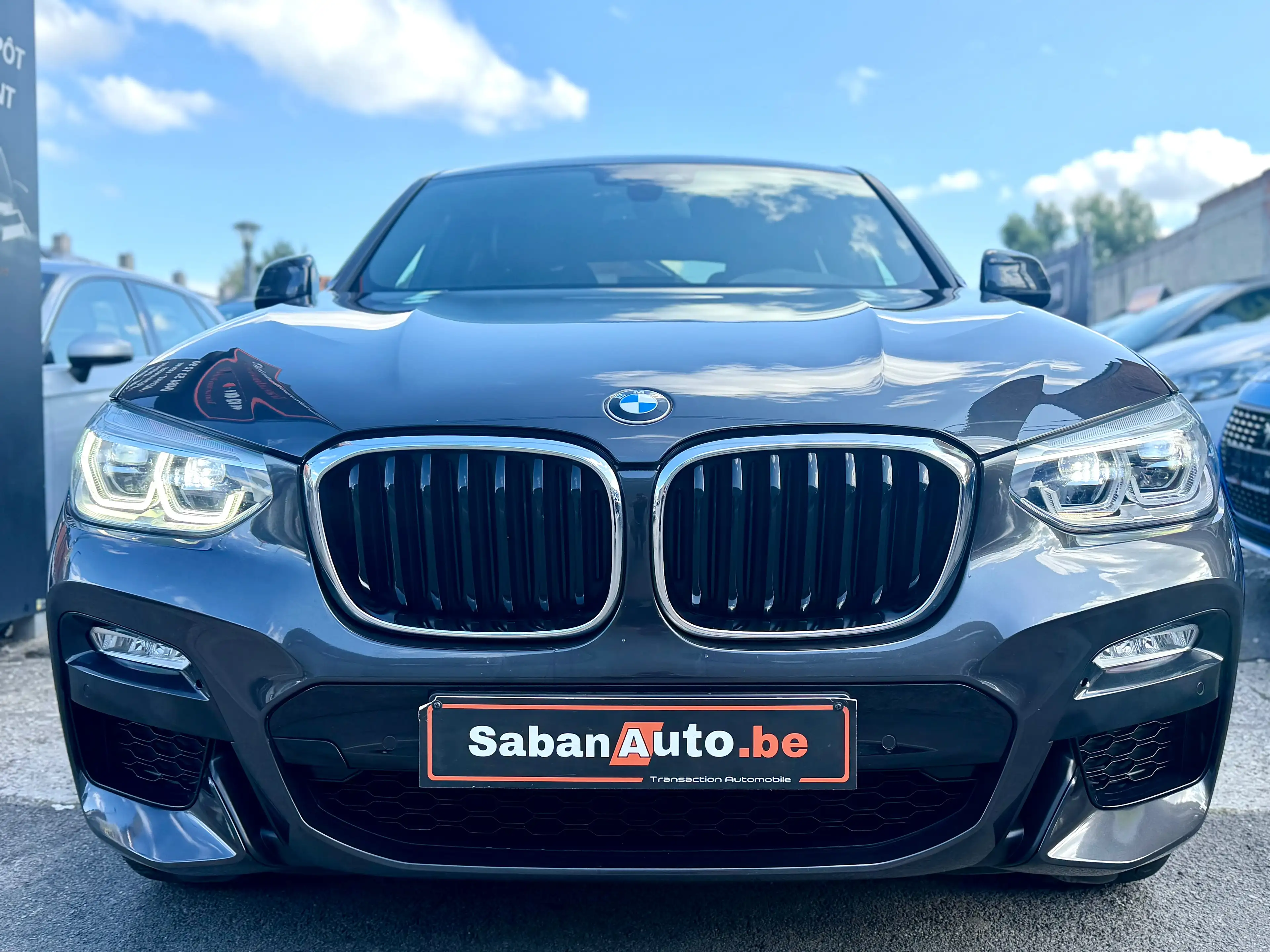 BMW X4 X4 2.0 dA xDrive20 AdBlue — photo 6