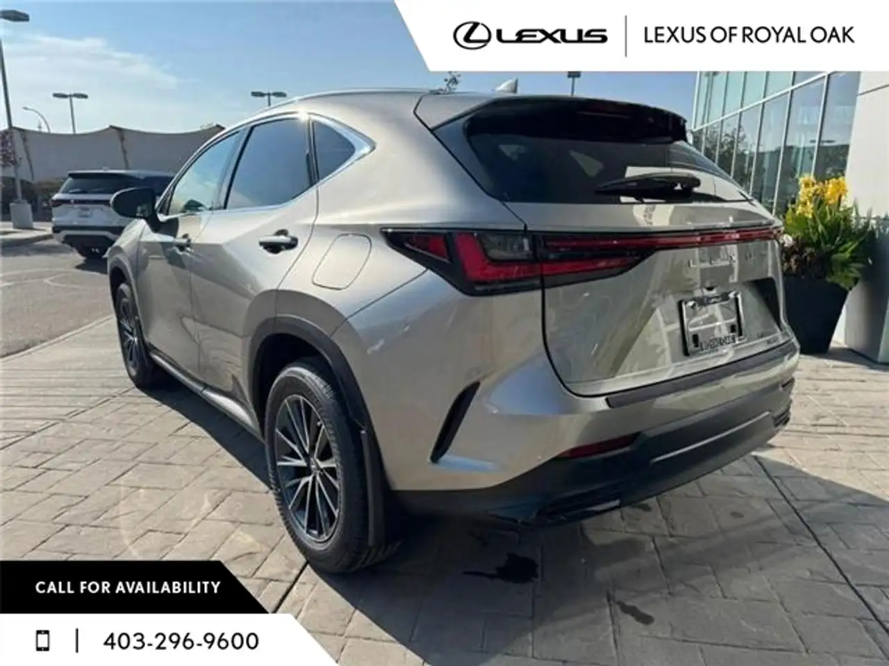 Lexus NX снимка Lexus NX