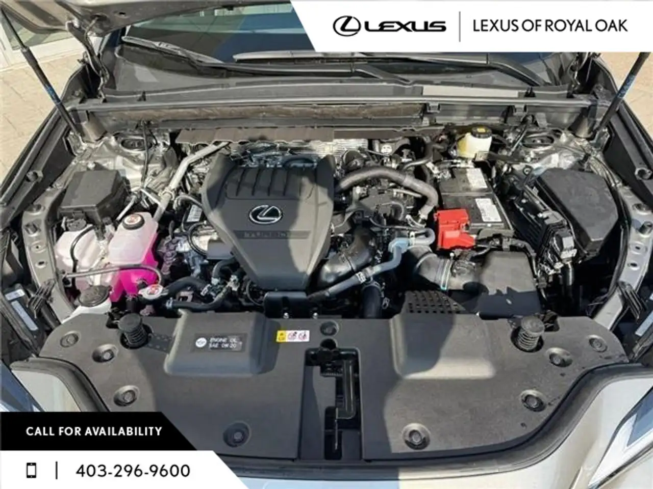 Lexus NX снимка Lexus NX