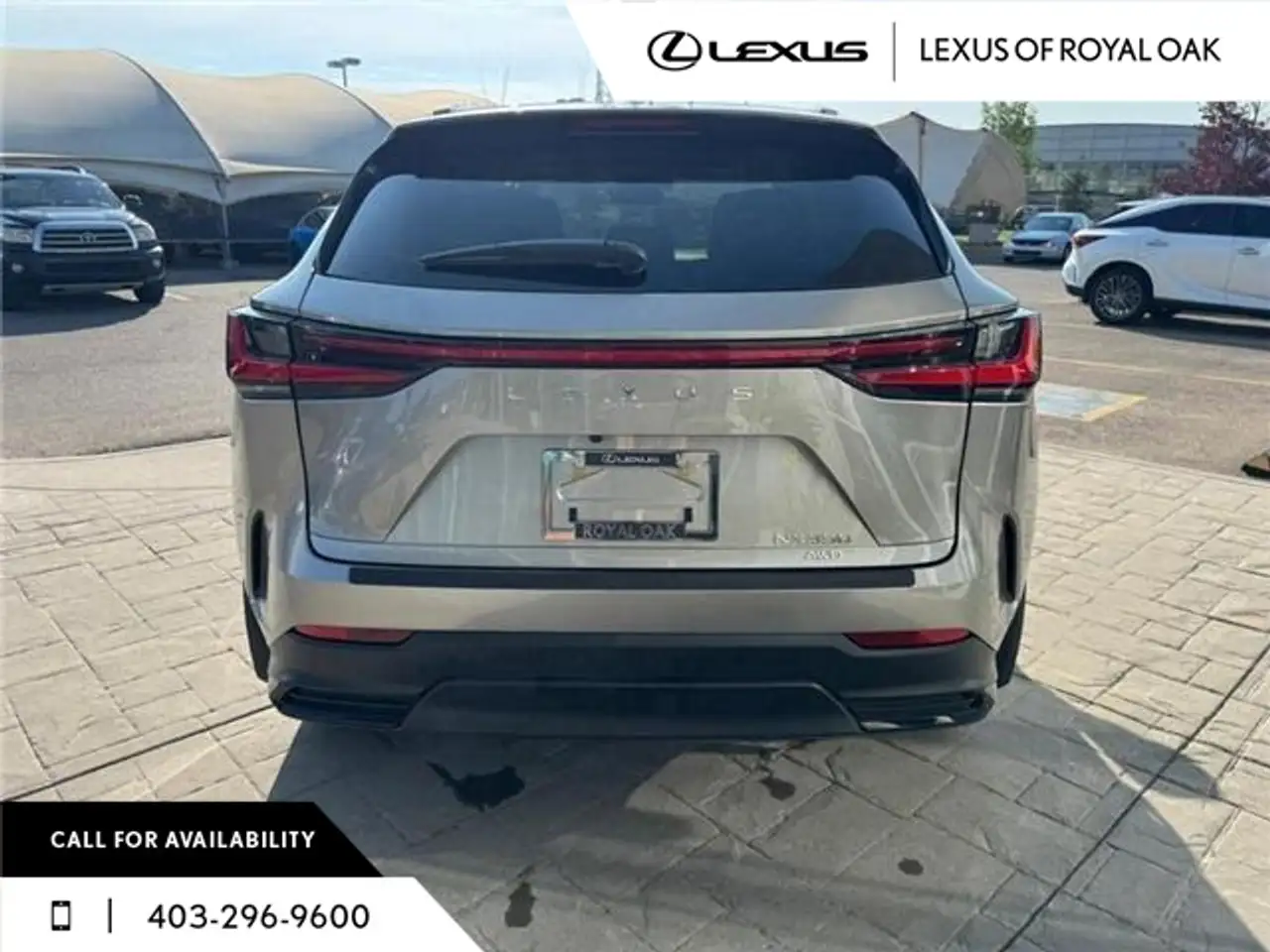 Lexus NX снимка Lexus NX