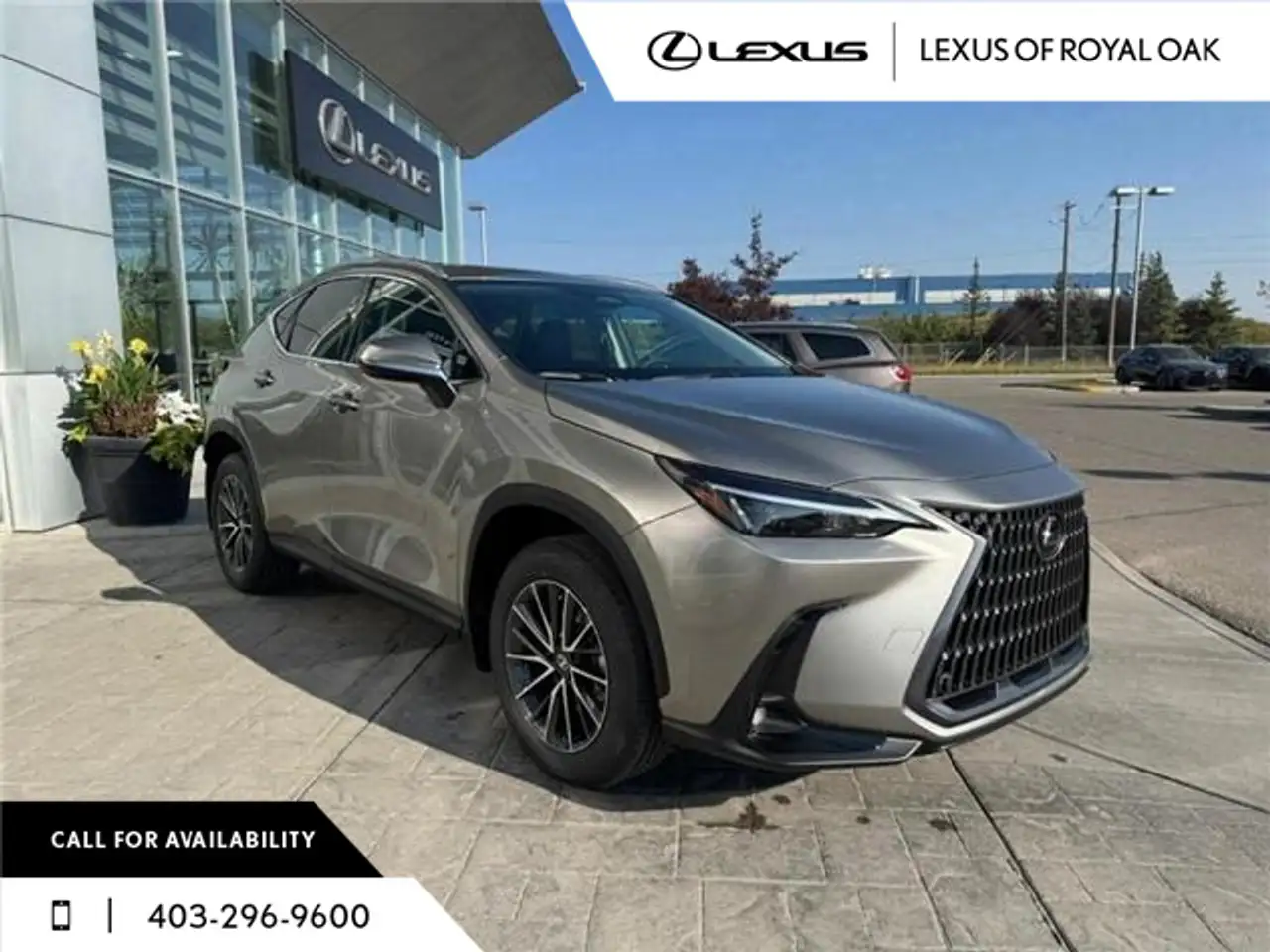 Lexus NX снимка Lexus NX