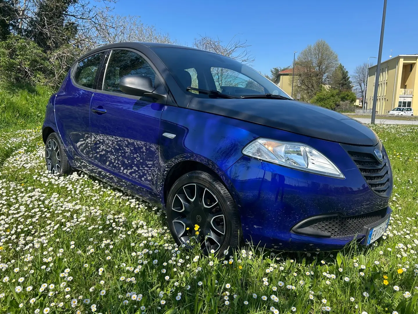 Lancia Ypsilon Ypsilon 1.2 8v S MomoDesign 69cv Blu/Azzurro - 1