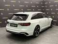 Audi RS4 2.9 TFSI QUATTRO 450CV*PINZE ROSSE*PELLE* Blanco - thumbnail 3