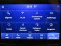 Ford Puma 1.0 M-Hybrid Aut. ST-Line AHK+iACC Сірий - thumbnail 27