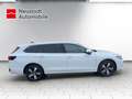 Volkswagen Passat Variant _Business 1.5 eTSI Mildhybrid Navi, Lenkradheizung Weiß - thumbnail 5