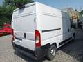 Fiat Ducato 2.2 MJT 140CV MH2 FURGONE Blanc - thumbnail 7
