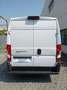 Fiat Ducato 2.2 MJT 140CV MH2 FURGONE Blanc - thumbnail 6