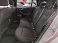 Ford Focus 1.0 125cv Hybrid SW ST Line Automatica SUPER PROMO Срібний - thumbnail 14