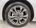 Ford Focus 1.0 125cv Hybrid SW ST Line Automatica SUPER PROMO Срібний - thumbnail 9
