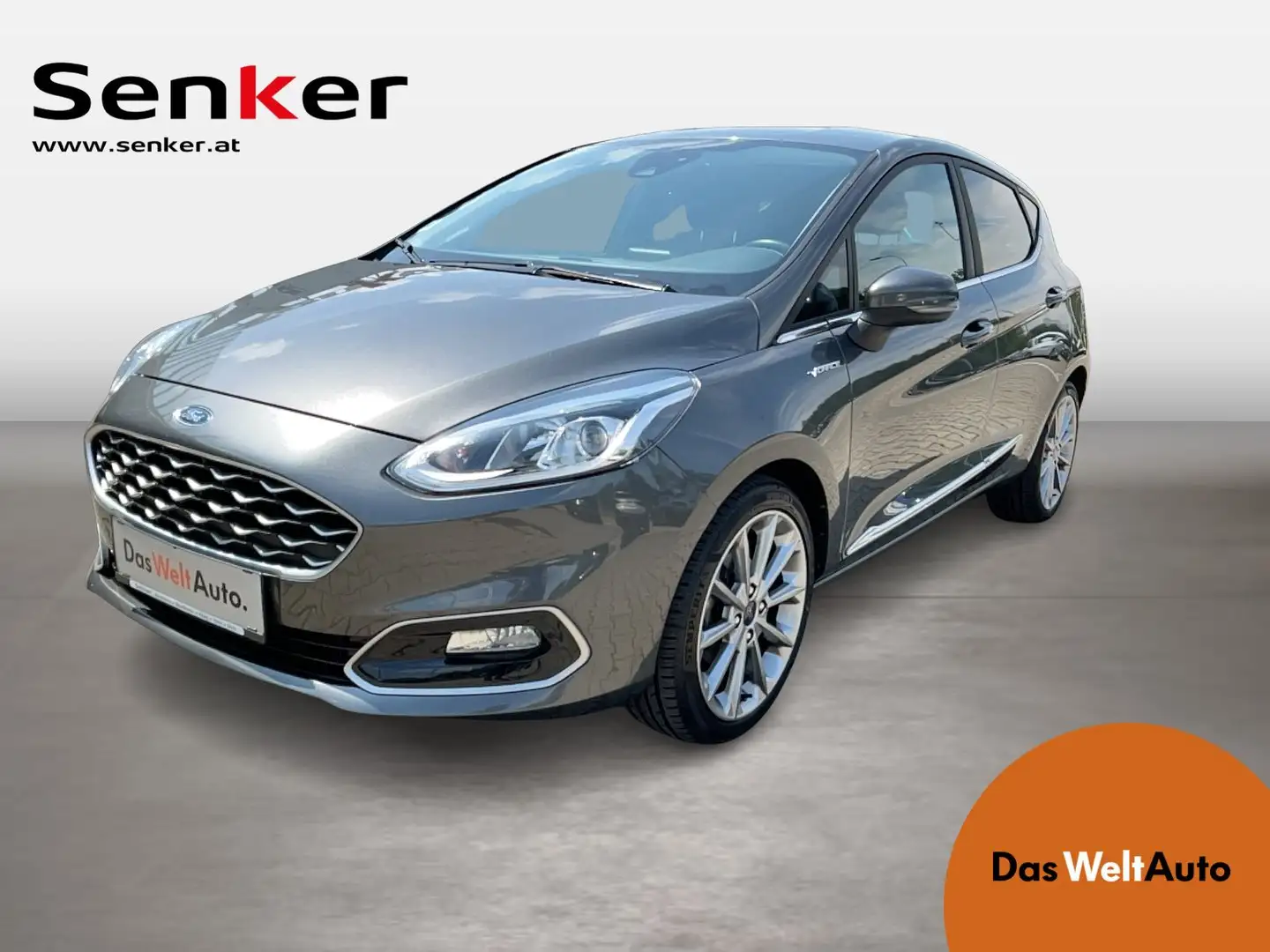 Ford Fiesta Vignale 1,0 EcoBoost Start/Stop Grau - 1